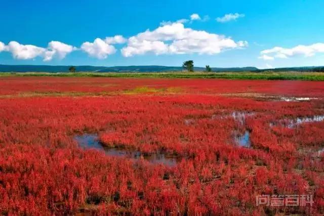 同题参见一年四季变化多端的魅力风景