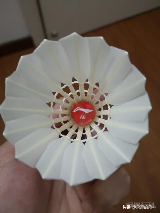 鹅毛耐打优于鸭毛是肯定的