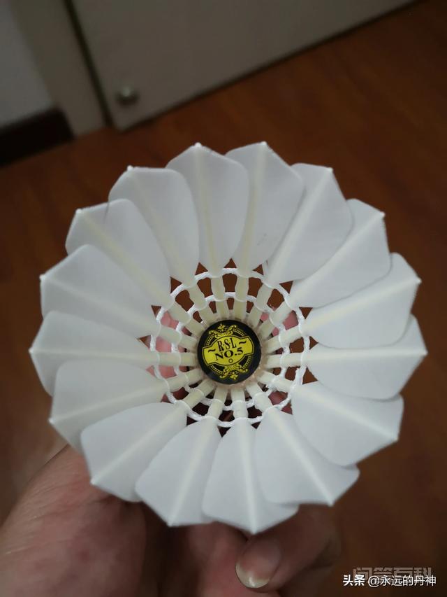 1，鹅毛耐打优于鸭毛是肯定的