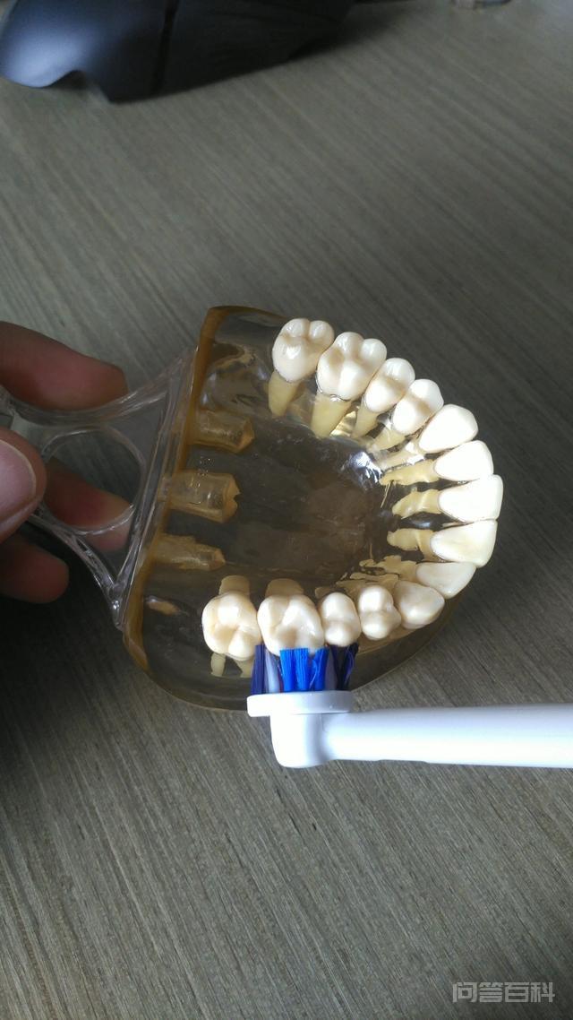 刷牙怎么刷才能刷白牙齿? 天然通透白都可以有