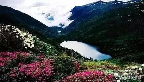 听命湖位于高黎贡山海拔三千四百米左右