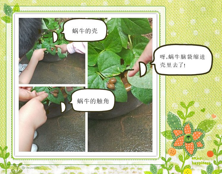 把握开云手机站登录入口官方渠道的时机