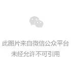 《雾山五行》