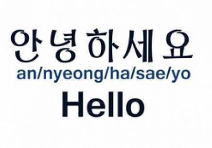 an nyeong ha sae y