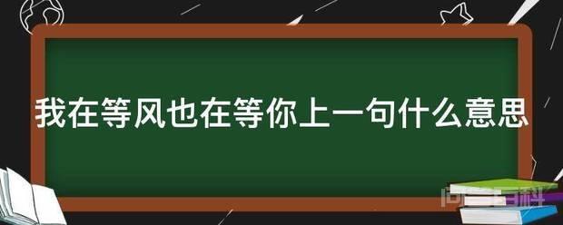 我在等风也在等你上一句开云官方网站意思 我在等风也在等你上一句是白茶清欢无别