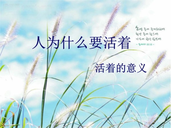 人活着的意义就在于为养自己的人养老