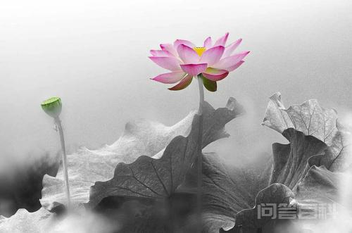 追寻宇宙人生来龙去脉 活出自在明白真我风彩 活出自在明白真我风彩