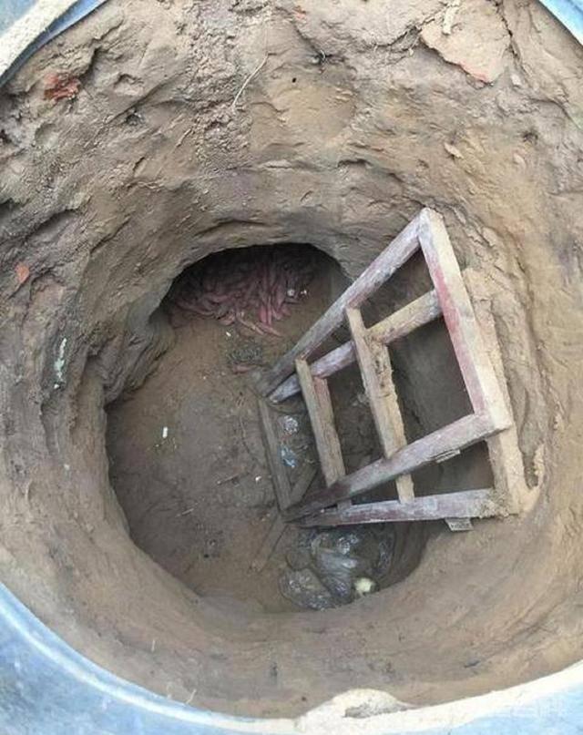 地窖有很强的保暖作用,为啥古人宁愿冻死,也不挖地窖避寒呢? 也正是因为如此