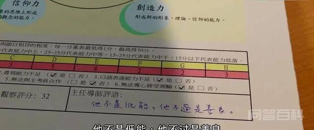 “麦兜”20年:从“低能儿”,到十大文化符号第二 都哭着从电影院出来