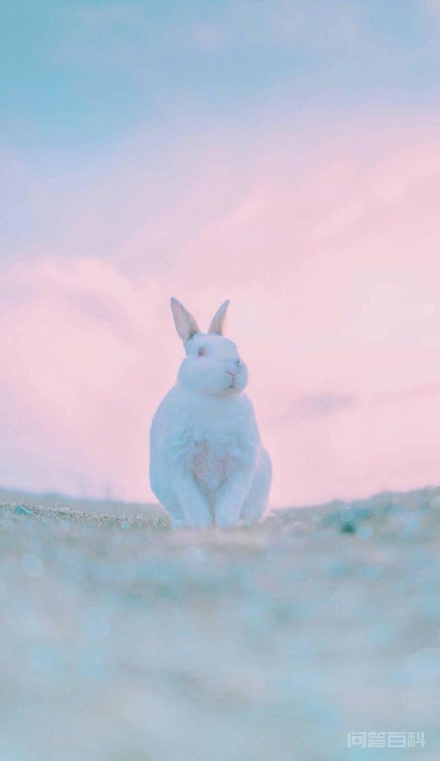 吃一堑长一智的三大星座 日子过得比较红火