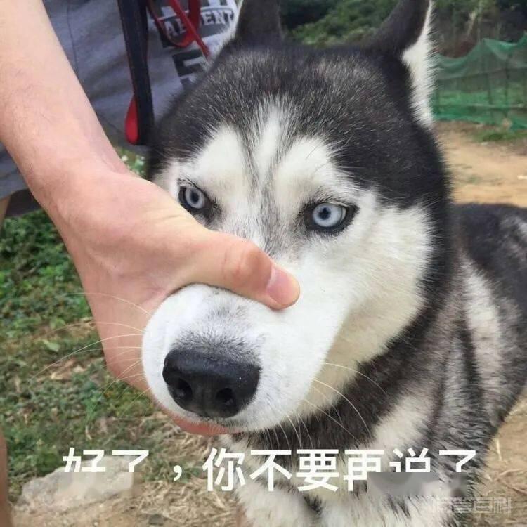 如果没有充分的阅读理解能力