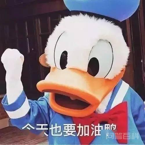 国内外社会文化环境的巨大差异