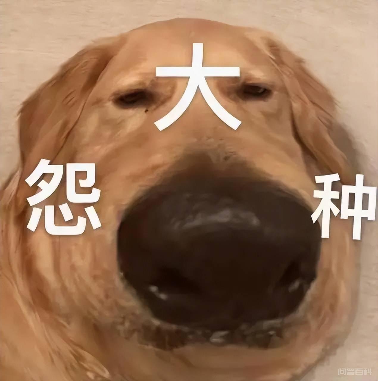 刘璋撞不开的牢门