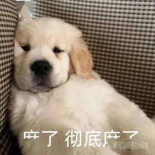 破防了,husband还能这样用? husband有“丈夫”的意思