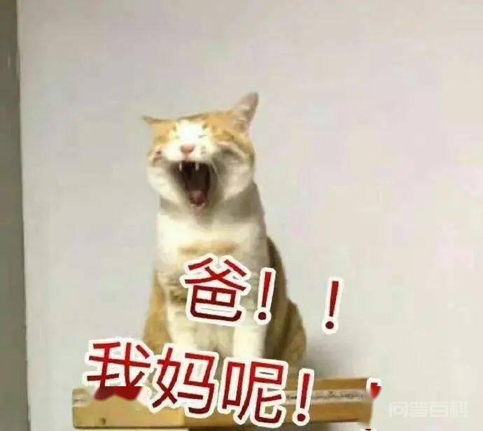 破防了,husband还能这样用? 国外媒体曾这么解读这个单词: