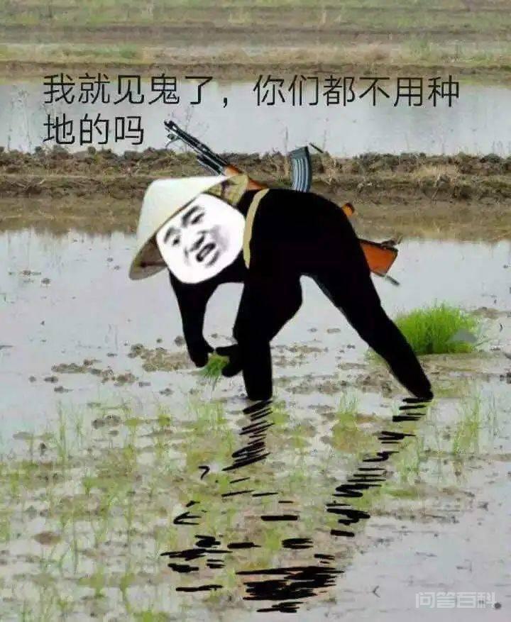 破防了,husband还能这样用? 同题参见