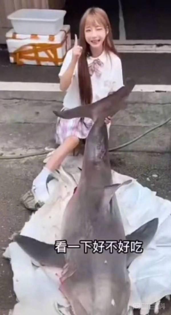 南充女网红“提子”视频前烹食“大白鲨”账号被封禁 系从网购平台购买 四川网红烹食噬人鲨一事引发了持续关注