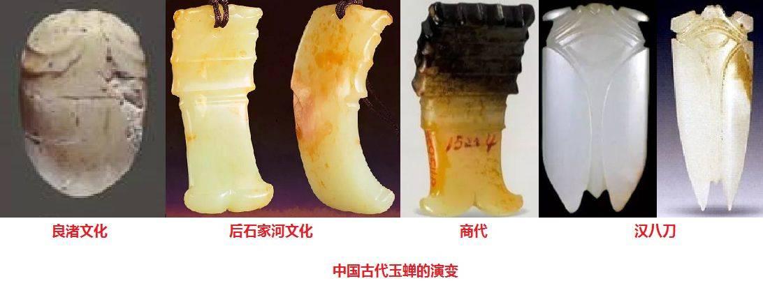 阴阳激耀——电(五)死被得胜吞灭 就是自然光