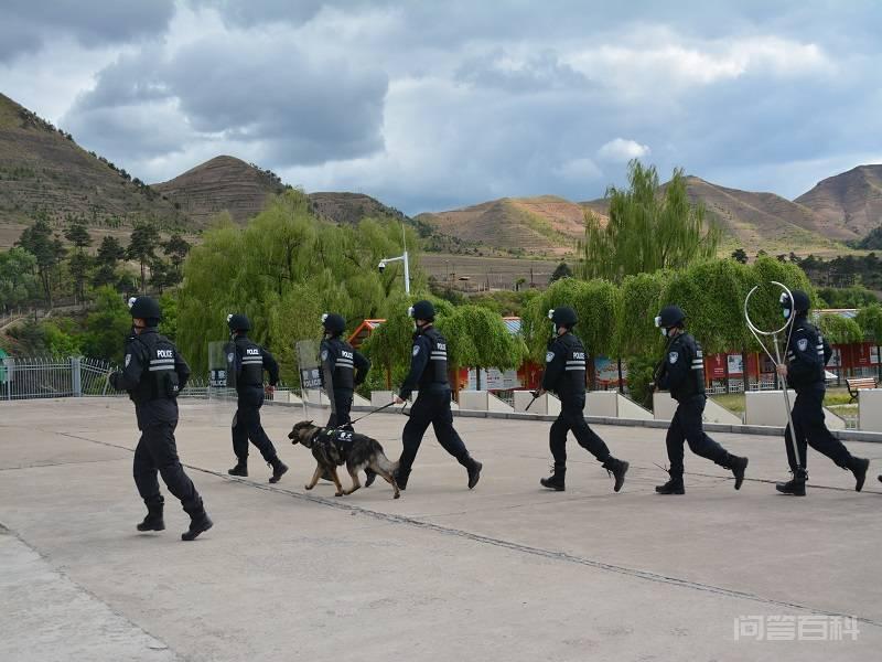 警营“八一”,别样精彩 守护者千家万户的安宁