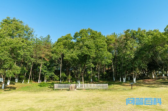 总书记一直牵挂着这里 讲述长汀人民与荒山作斗争