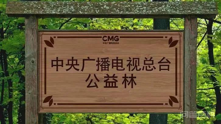 广播剧《不负青山》上线啦丨主人公同款“树苗盲盒”等你来领取 你听过了嘛