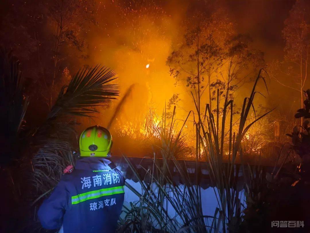 夜晚草地起火!琼海消防紧急扑救