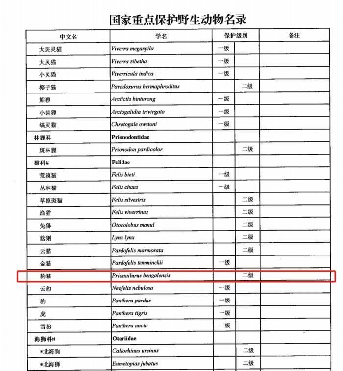 网红烧烤大白鲨背后:多少电商平台在违规卖“野味”? 同题参见记者注意到