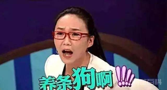 其中的成员的口才和思想深度都让观众们