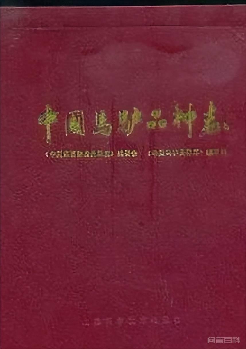 古代真的有千里马吗