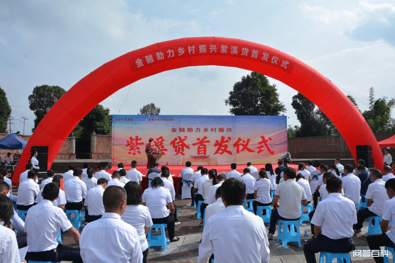 “紫溪贷”在紫溪镇首发