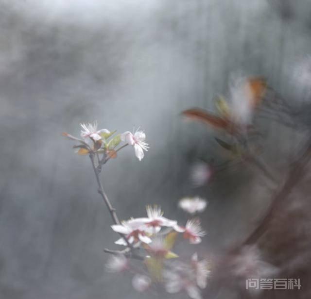 人生,因简单而快乐 可是我们的人生
