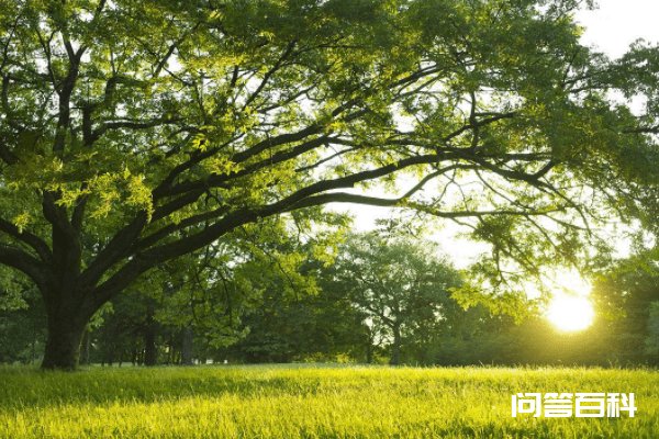 未来90日,乾坤运转、福禄双至、财源广进、金玉满堂4大生肖 未来90日
