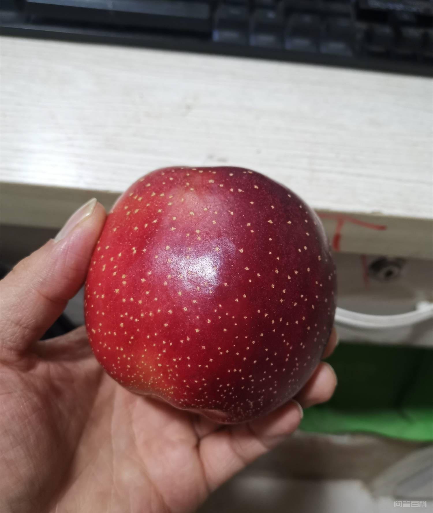 爱妃苹果树的修剪关键是削弱营养生长优