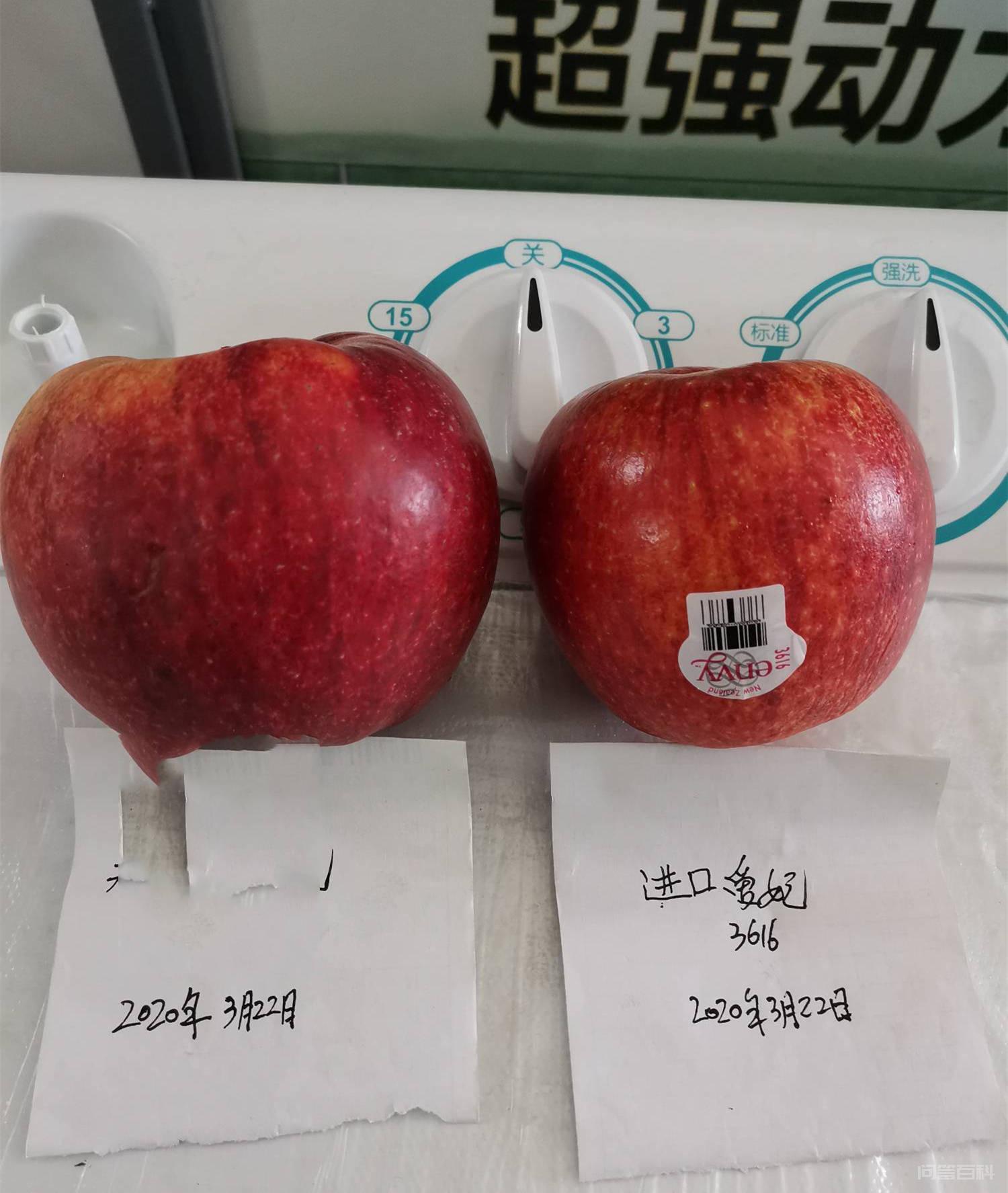 重视夏季修剪
