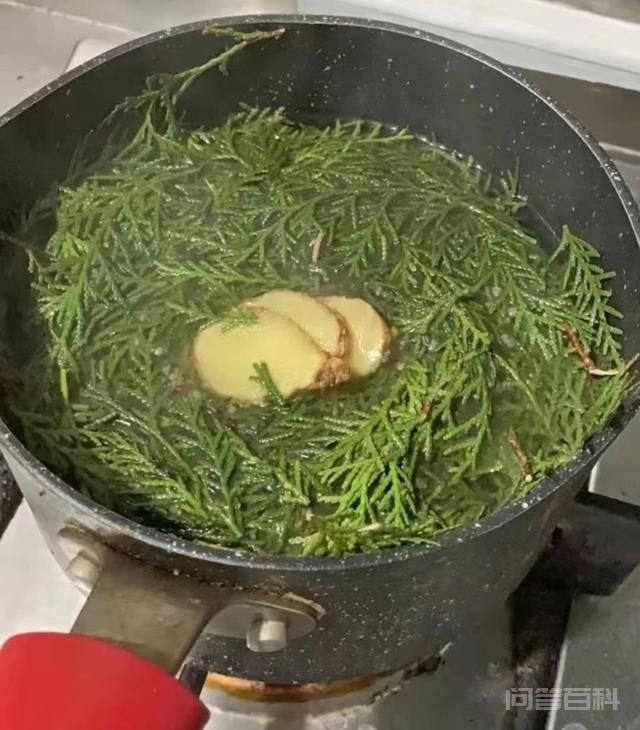 脱发想必大家都不陌生