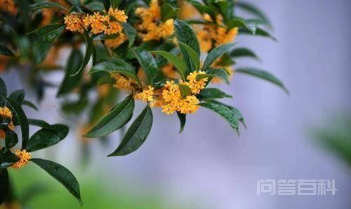 同题参见