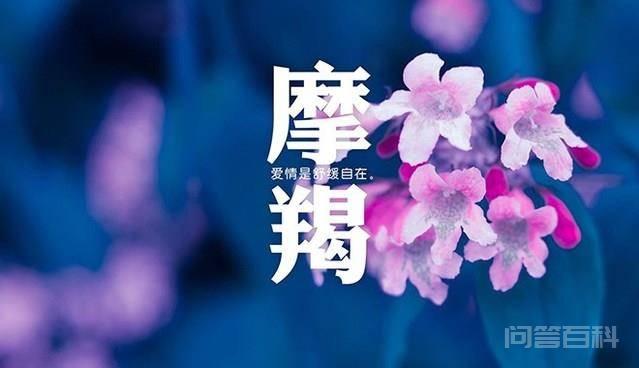 遇到挫折,能迅速调整的四大星座,白羊座永不言败 第一名:永不言败的白羊座