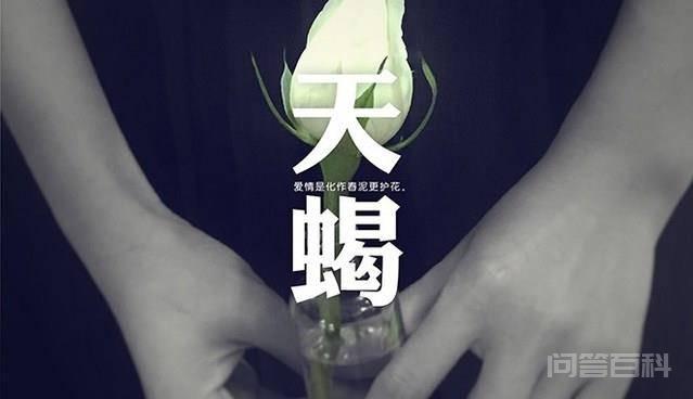 遇到挫折,能迅速调整的四大星座,白羊座永不言败 白羊座的人一向精力旺盛