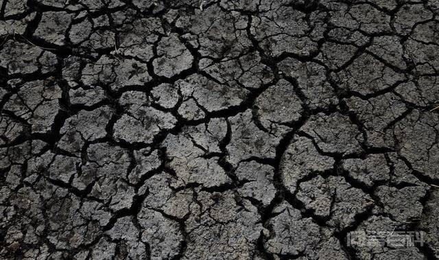 人类还能在地球上生存多久?若人类在消失后,谁会称霸地球呢? 不过在人类诞生前