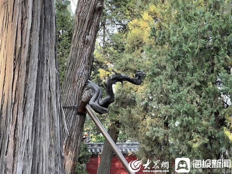 游读济宁丨孟府孟庙:品读圣贤智慧,游赏古景奇观 遍地丰碑满壁诗