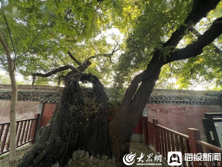 游读济宁丨孟府孟庙:品读圣贤智慧,游赏古景奇观 6月8日