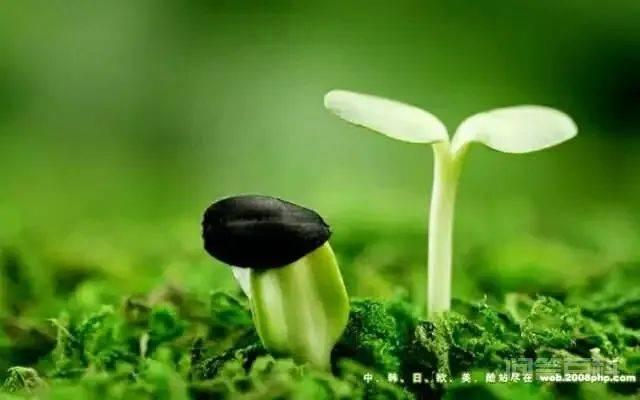 【卵黄囊】出现卵黄囊说明开云手机站登录入口最新版下载 【导读】怀孕女性在做孕期检查后