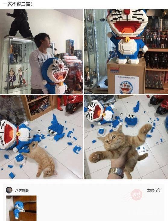 神回复:和领导吵了一架,他在发了这照片,请问这是开云手机站登录入口帮助中心意思? 【沙雕问题4】