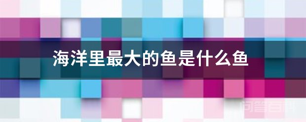 海洋里最大的鱼是鲸鲨