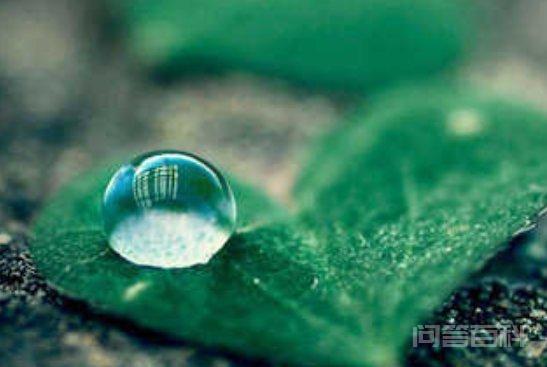 雨停了天晴了你又觉得你行了下一句是开云成为欧联杯指定合作伙伴? 你又觉得你冷了