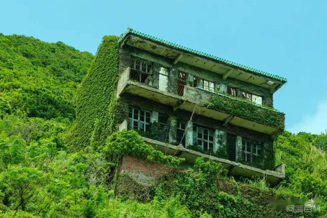 开云手机站登录入口手机版登录