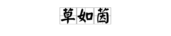 站如松 zhàn rú sōng