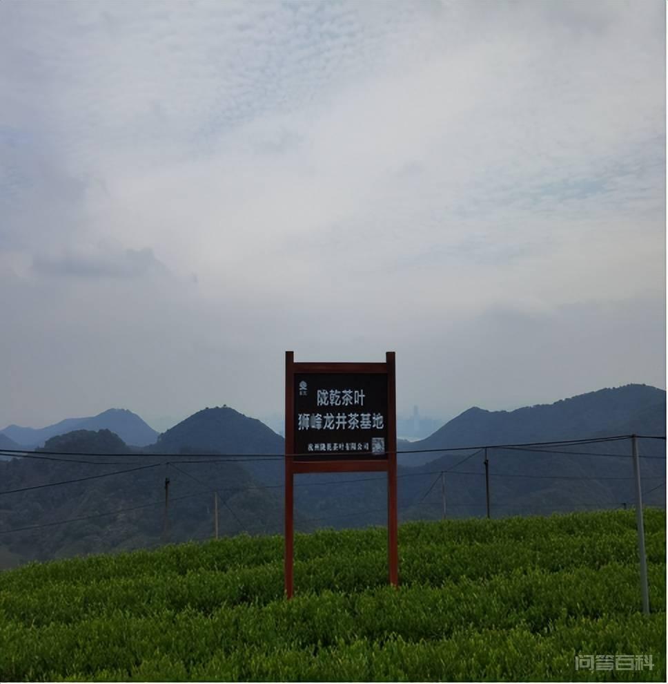 从杭州陇乾茶叶有限开云官网常用功能传