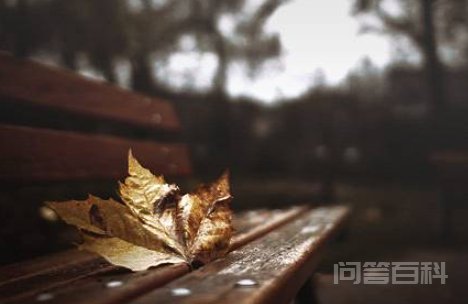 一片片是个ABB式词语
