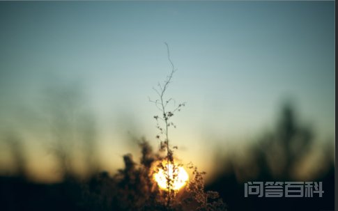 thick的反义词是slight。